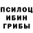Галлюциногенные грибы Psilocybine cubensis Ethan Bradly