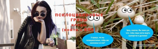 марки nbome Коряжма