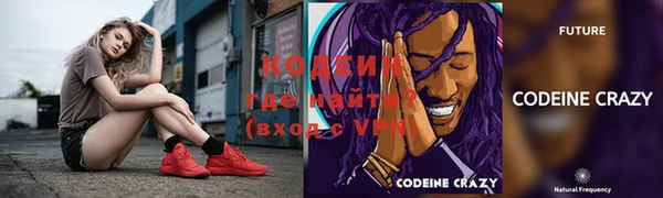 хмурый Корсаков
