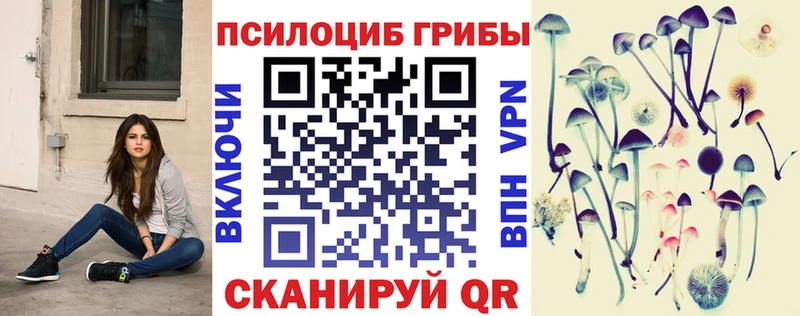 купить  цена  Александровск  Галлюциногенные грибы Psilocybe 